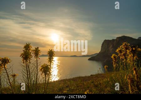 Un bellissimo tramonto sull'oceano con un campo di fiori gialli in primo piano. Il cielo è pieno di nuvole e il sole sta tramontando, creando un Foto Stock