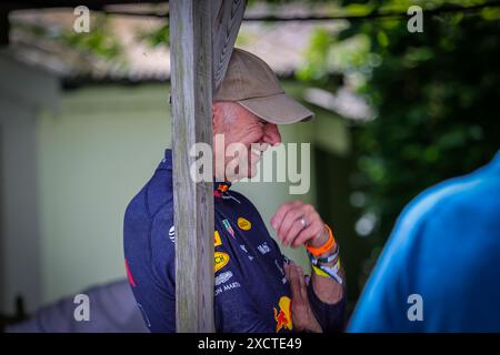 Adrian Newey prova una ford GT40 al Goodwood Motor Circuit nel West Sussex Inghilterra Foto Stock