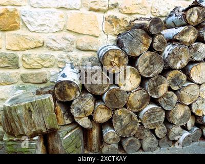 Tronchi di legna da ardere impilati contro un muro di pietra, che mostrano texture naturali e fascino rustico. Foto Stock