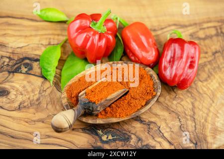Peperoncino (Capsicum frutescens), peperoncino e peperoncino di cayenna Foto Stock