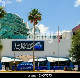 TAMPA, FLORIDA - 3 maggio 2024: Il Florida Aquarium è un 000 acquario di 250 metri quadrati situato nel centro di Tampa, Florida, Stati Uniti, ed è accredi Foto Stock