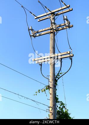 Palo di servizio con linee elettriche Foto Stock