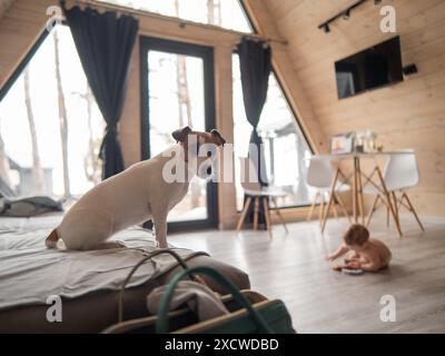 Un bambino strizza sul pavimento vicino alla finestra del patio. Jack Russell Terrier, cane seduto sul divano. Foto Stock