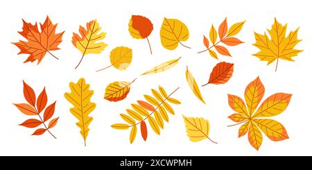 L'autunno è pronto. Raccolta di foglie gialle sparse su uno sfondo bianco. Le foglie variano in dimensioni e forma Illustrazione Vettoriale