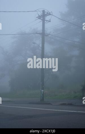 Lampioni, linee elettriche e pali di servizio in una nebbia profonda lungo le strade suburbane di Katoomba Foto Stock