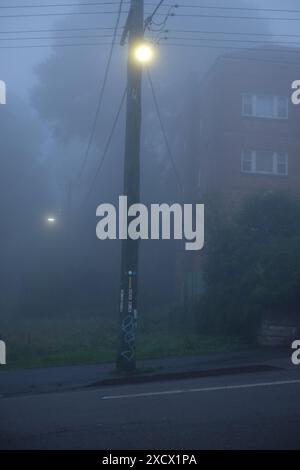 Lampioni, linee elettriche e pali di servizio in una nebbia profonda lungo le strade suburbane di Katoomba Foto Stock