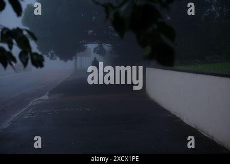 Una persona sagomata che cammina sul marciapiede accanto a un'ampia strada fiancheggiata da alberi nebbiosi a Katoomba Foto Stock