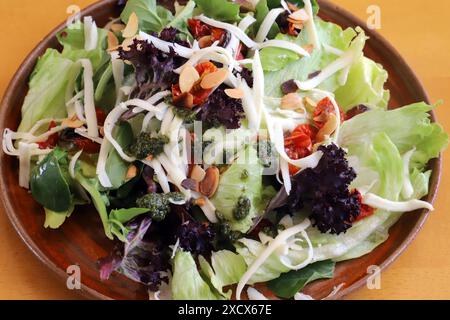 Primo piano di un'insalata mista fresca con lattuga, formaggio, mandorle e pesto su un piatto marrone Foto Stock