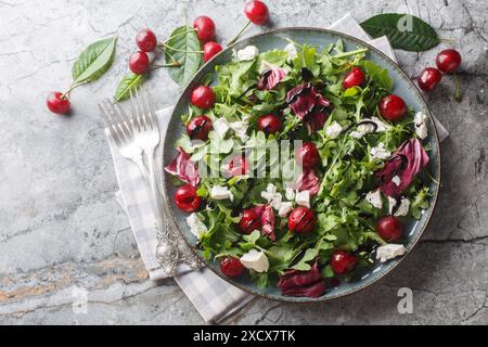 Insalata fresca croccante con ciliegie sottaceto, rucola, radicchio e feta condita con condimento balsamico da vicino in un piatto sul tavolo. Orizzontale Foto Stock