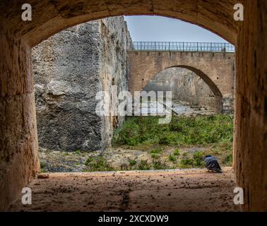 Ventana de la fortificación de la Mola con una paloma refugiándose de la lluvia. Mahón, Minorca, España Foto Stock