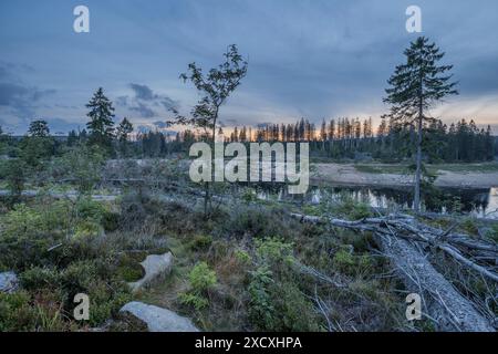 Geografia / viaggi, Germania, bassa Sassonia, contea di Goslar, vista verso Oderteich la sera, ULTERIORI DIRITTI-AUTORIZZAZIONE-INFO-NON-DISPONIBILI Foto Stock