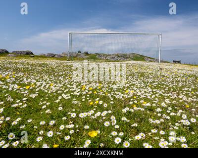 Un campo da calcio molto scenografico sul Machair a Rubha Ban su Eriskay, Ebridi esterne, Scozia, Regno Unito. Foto Stock