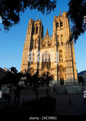 Cattedrale di San Michele e San Gudula al tramonto Bruxelles Belgio Foto Stock