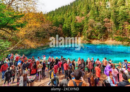 Riserva naturale di Jiuzhaigou, Cina - 25 ottobre 2015: Folla di turisti asiatici con smartphone che scattano foto della piscina a cinque colori Foto Stock