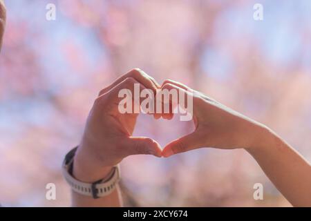 Le coppie mostrano simboli a forma di cuore insieme per mostrare il loro amore e amicizia l'uno per l'altro nel loro grande giorno. creare il simbolo del cuore a forma di mano per ex Foto Stock