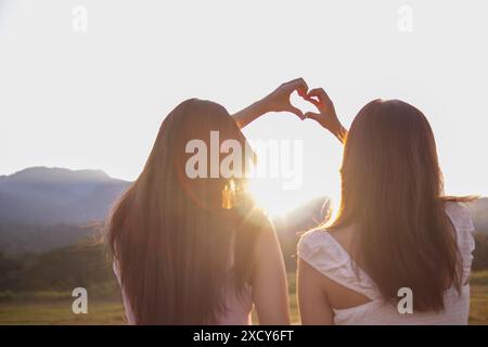 Silhouette coppia mani sollevate per dare forma al cuore su uno splendido sfondo serale. concetto ​​making simbolo del cuore a forma di mano espresso amore f Foto Stock