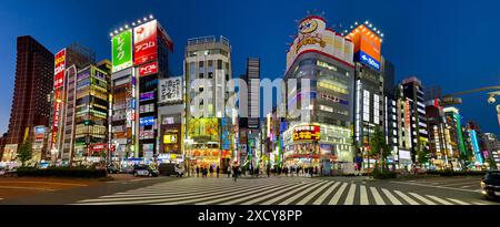 Godzilla Street a Shinjuku Ward di notte, Tokyo, Kanto, Giappone Foto Stock