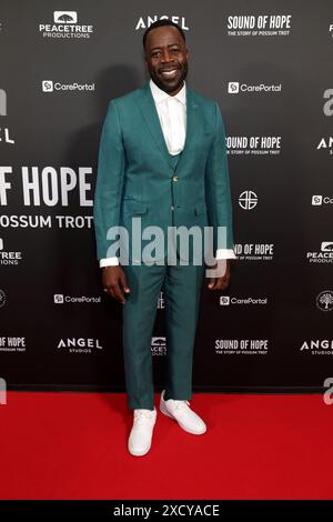 Los Angeles, ca. 18 giugno 2024. Demetrius grosse alla premiere di Sound of Hope: The Story of Possum Trot' il 18 giugno 2024 al Linwood Dunn Theater di Los Angeles, California. Crediti: Faye Sadou/Media Punch/Alamy Live News Foto Stock