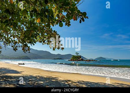 Veduta della spiaggia di Bonete sull'isola di Ilhabela tra alberi e vegetazione Foto Stock