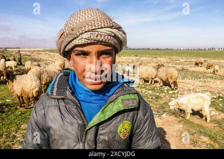 Siria, dintorni di Tadmor, allevatore siriano di pecore Foto Stock