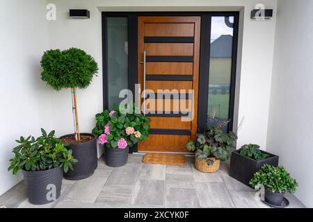 Ingresso di una casa moderna, con porte in legno grigio, pareti bianche e vasi di fiori con piante Foto Stock
