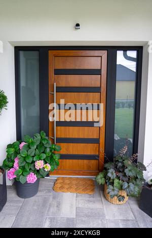 Ingresso di una casa moderna, con porte in legno grigio, pareti bianche e vasi di fiori con piante Foto Stock