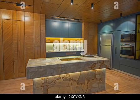 Interior design arredamento che mostra la cucina moderna e gli elettrodomestici in appartamento di lusso showroom con isola Foto Stock