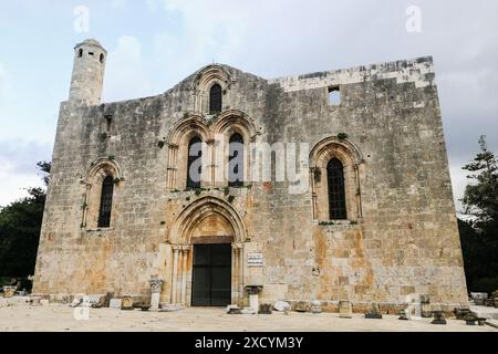 Siria, Tartous, Tartus, antica cattedrale di nostra Signora di Tortosa, cattedrale di nostra Signora Crociata Foto Stock