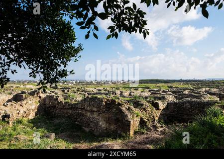 Siria, Ugarit, Ugaret, sito archeologico Foto Stock