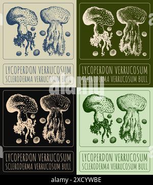 Set di disegni vettoriali LYCOPERDON VERRUCOSUM in vari colori. Illustrazione disegnata a mano. Il nome latino è SCLERODERMA VERRUCOSUM BULL. Illustrazione Vettoriale