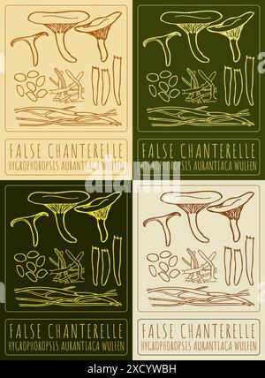 Set di FALSI CHANTERELLE per disegno vettoriale in vari colori. Illustrazione disegnata a mano. Il nome latino è HYGROPHOROPSIS AURANTIACA WULFEN. Illustrazione Vettoriale