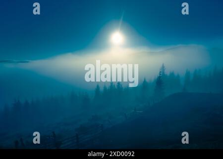 Il sole sbircia attraverso la nebbia mattutina, gettando un soffice bagliore sulla foresta di pini nella nebbia. Gli alberi sono alti e le loro silhouette sono appena visibili sullo sfondo etereo. Tonalità blu notte. Carpazi Foto Stock