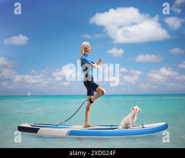 Foto a tutta lunghezza di una donna con un cane che pratica yoga su una tavola da SUP in mare Foto Stock