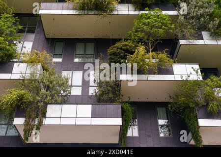 Primo piano del Bosco verticale, un complesso di due grattacieli residenziali con più di mille specie vegetali sulle facciate, Milano, Italia Foto Stock