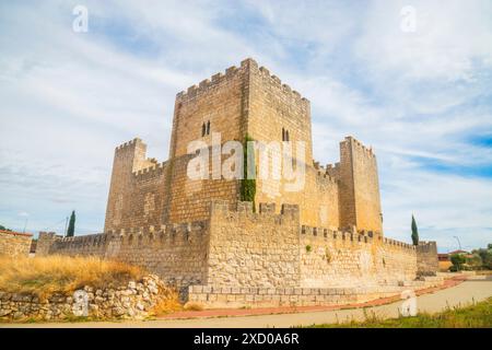 Castello. Encinas de Esgueva, provincia Valladolid, Castilla Leon, Spagna. Foto Stock