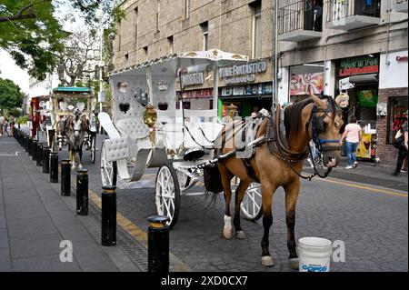 GUADALAJARA, JALISCO, MESSICO: Le carrozze trainate da cavalli sono disponibili per le corse da Plaza de Armas in zona Centro. Foto Stock