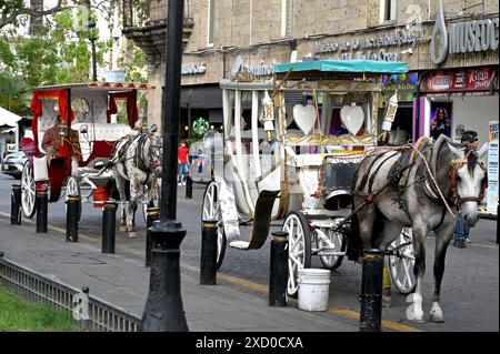 GUADALAJARA, JALISCO, MESSICO: Le carrozze trainate da cavalli sono disponibili per le corse da Plaza de Armas in zona Centro. Foto Stock