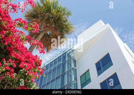 Miami Beach, Florida, centro New World Symphony NWS Center, architetto Frank Gehry, esterno, bouganville fiorite, i visitatori in viaggio Foto Stock