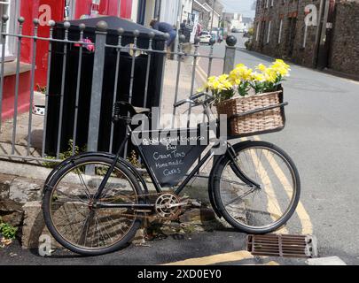 St Davids, Galles, 19 GIUGNO: Bici a St Davids, Regno Unito. 19 giugno 2024. Crediti: Action foto Sport/Alamy Live News Foto Stock