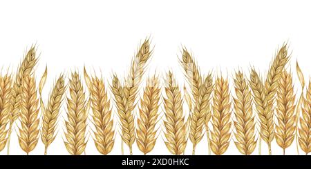 Gambi di grano bordo senza cuciture, nastro per orzo. Illustrazione acquerello per la celebrazione del raccolto, design rustici, birra, pane, temi agricoli. Clipart per tessuti, imballaggi, sfondi, striscioni Foto Stock