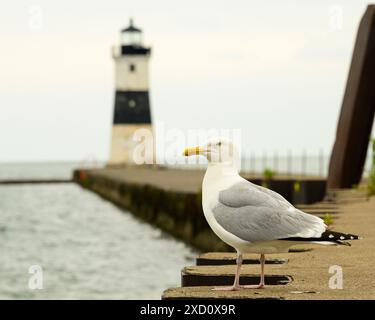 Faro sulla Presque Isle a Erie Pa Foto Stock