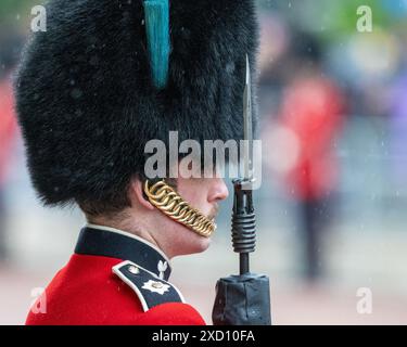 Londra, 15 giugno 2024, il colore si strappa. La guardia del re che fiancheggiava il Mall durante una doccia molto pesante credito: MartinJPalmer/Alamy Live News Foto Stock