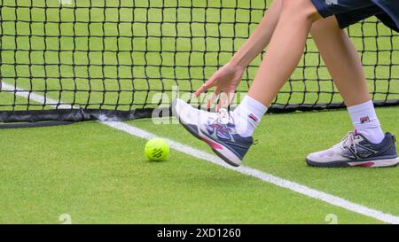 Berlino, Germania. 19 giugno 2024. GER, Berlin, ecotrans Ladies Open 2024, WTA 500, im Steffi Graf Stadion Berlin, LTTC Rot-Weiss e.V., Ball boy che raccoglie la palla da tennis, 19.06.2024, credito: HMB Media/Alamy Live News Foto Stock