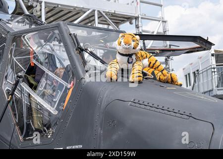 Cabina di pilotaggio di un elicottero d'attacco a quattro pale e bimotore Eurocopter Tiger, esercito tedesco Foto Stock