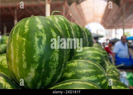 Anguria sulla stalla di un venditore di anguria sul mercato. Foto Stock