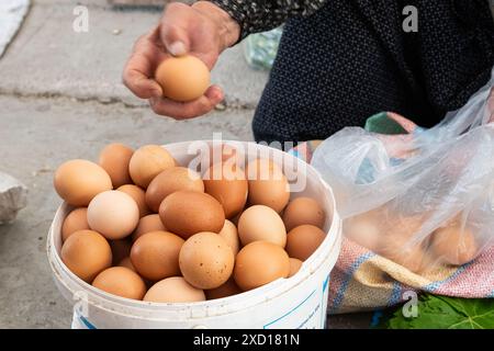 Uova biologiche del villaggio vendute al mercato degli agricoltori. Foto Stock
