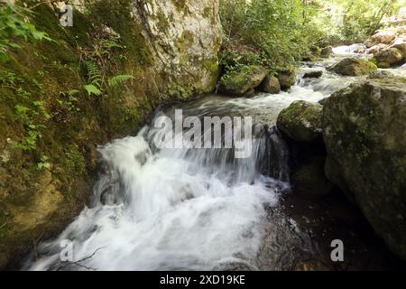 Gole del Sagittario - Anversa degli Abruzzi - Abruzzo - Italia Foto Stock