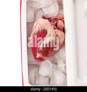 Cuore con ghiaccio in frigorifero su sfondo bianco, vista dall'alto Foto Stock