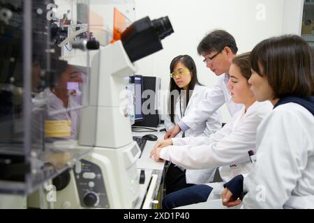 Insegnante e studenti. Microscopio ottico invertito. Con camera di incubazione per esperimenti in vivo. Tecniche avanzate quali TIRF, confocale, FRET, p Foto Stock