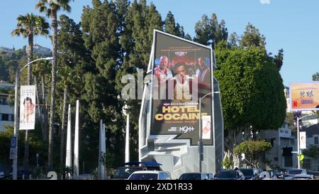 Los Angeles, California, USA 15 giugno 2024 Hotel cocaine MGM+ Billboard con Danny Pino su Sunset Blvd il 15 giugno 2024 a Los Angeles, California, USA. Foto di Barry King/Alamy Stock Photo Foto Stock